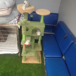 Cat Playset Area 