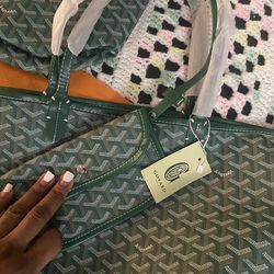 Goyard Saint Louis PM Tote Bag – Clean – Priced to Sell $400