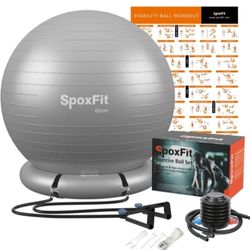 Exercise Ball + Kit, 65cm Anti-Burst Yoga Ball, Stability Fitness Ball for Birthing & Core Strength Training, Includes Quick Pump & Poster - SILVER 