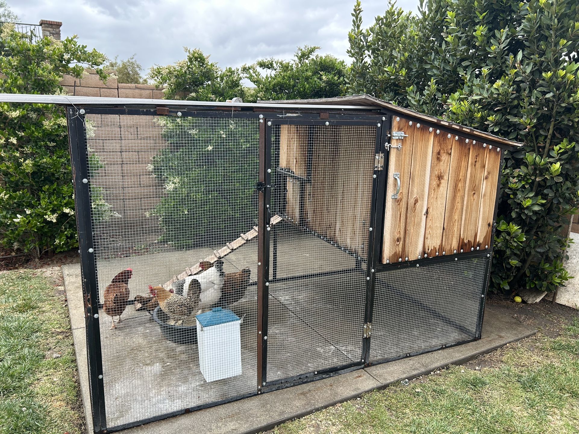 Coop For Chickens Made Out Of Metal Frame Comes Apart