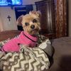 Brenda