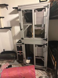 Catio