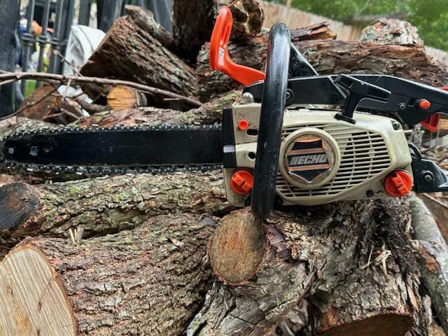 Chainsaw Echo New Chain Works Great 