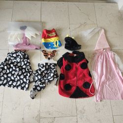 Lot Of 5 Halloween Dog Costumes