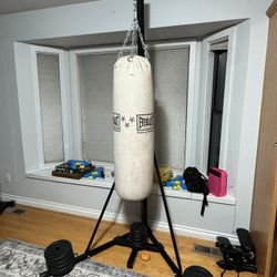 Everlast Boxing Bag With Frame Snd Counterweights
