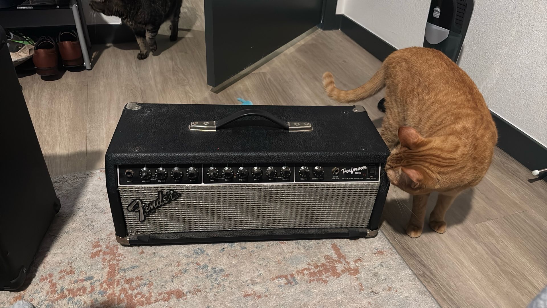 Fender Performer 1000