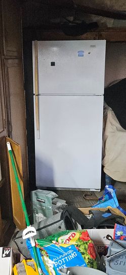 Great fridge, cheap price!