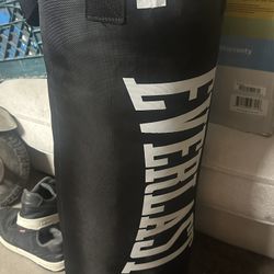 Everlast 40lb Punching Bag