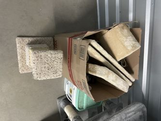 Cat Scratching Post And Tree