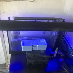 Fish Tank LED Light