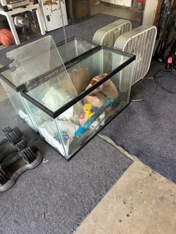 29 gallon fish tank and accessories