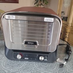 Ninja Woodfire 8 In 1