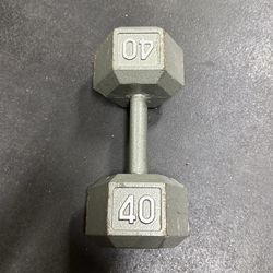 One (1) 40 LB IRON DUMBBELL
