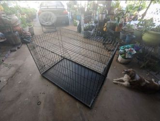 Medium Dog kennel