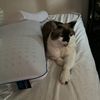 Joan