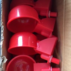 Chicken Feeder And waterer 