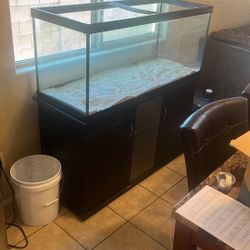 Fish tank, lizard tank, turtle tank, reptile tank
