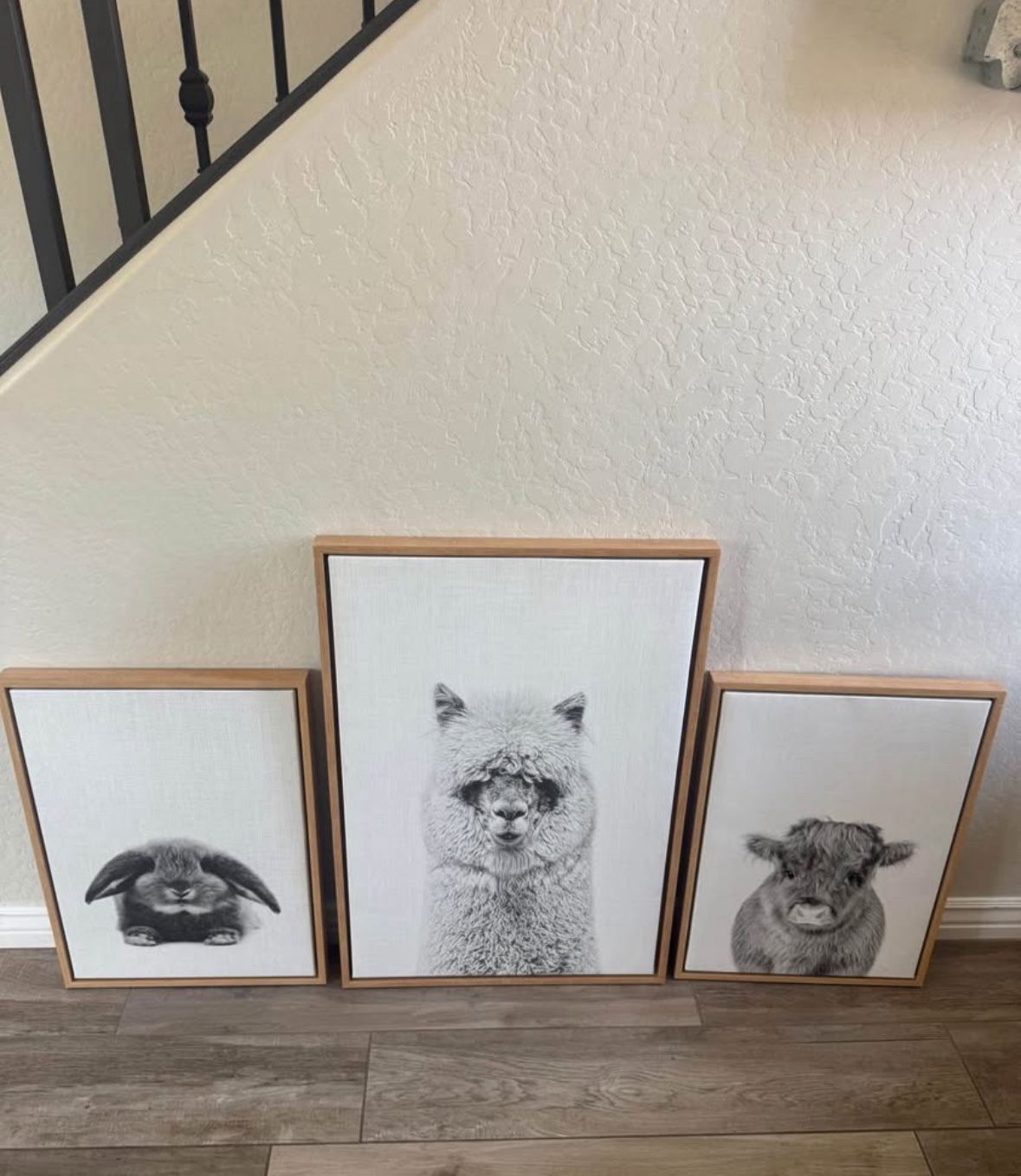 Pottery barn, pictures all like new condition