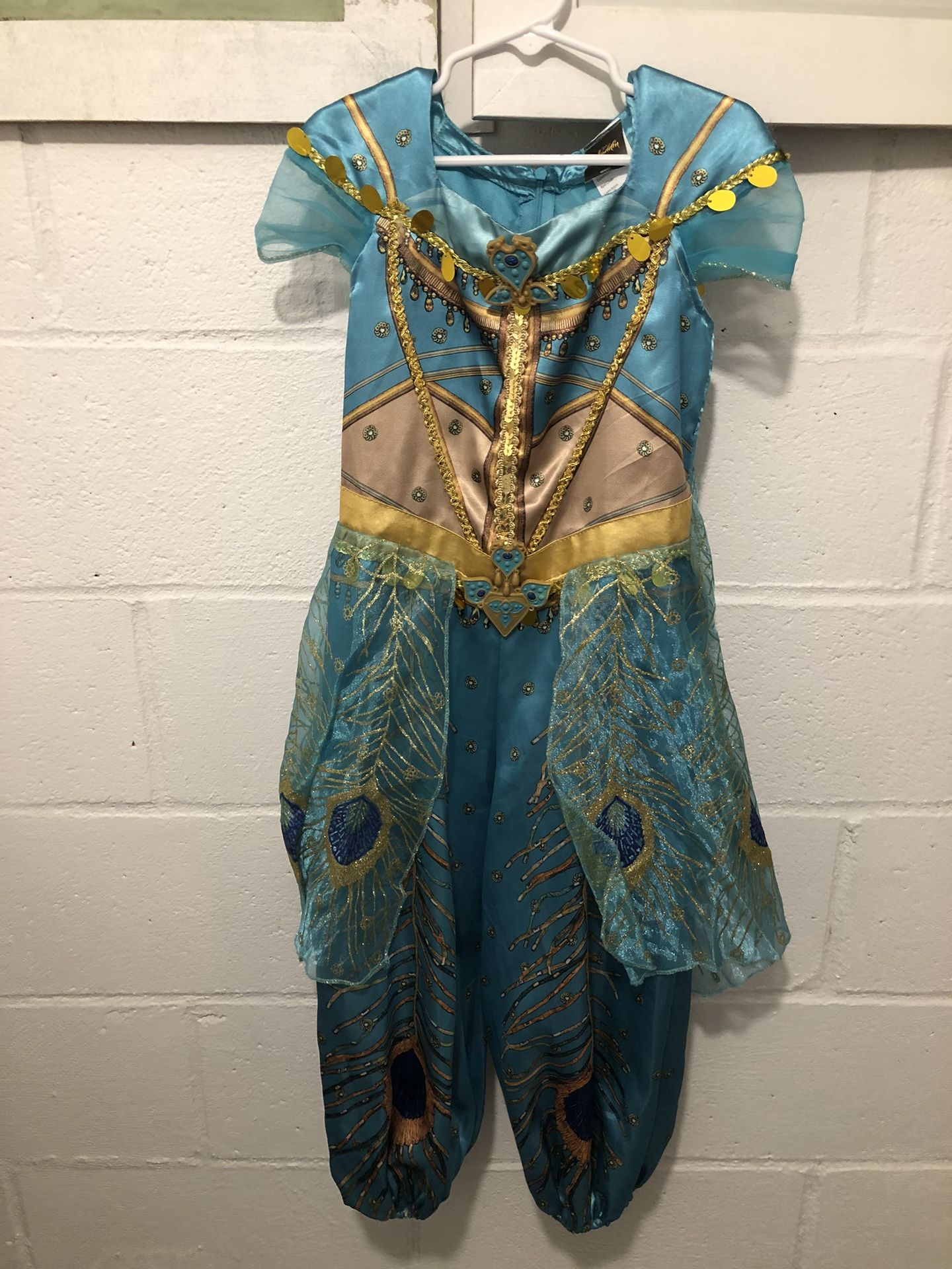 Disney Princess Jasmine Outfit (4T)