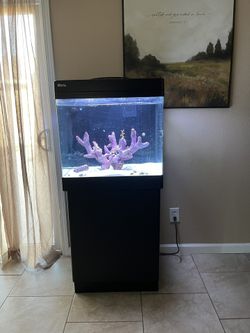 Red Sea 35 Gallon Tank