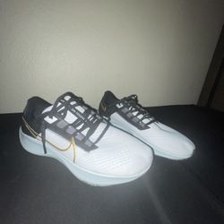 Nike Pegasus 38