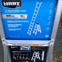 Multi Position Ladder 