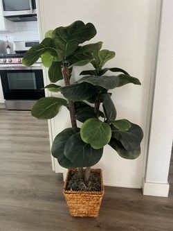 Fake tree from hobby lobby