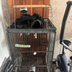 Parrot Cage