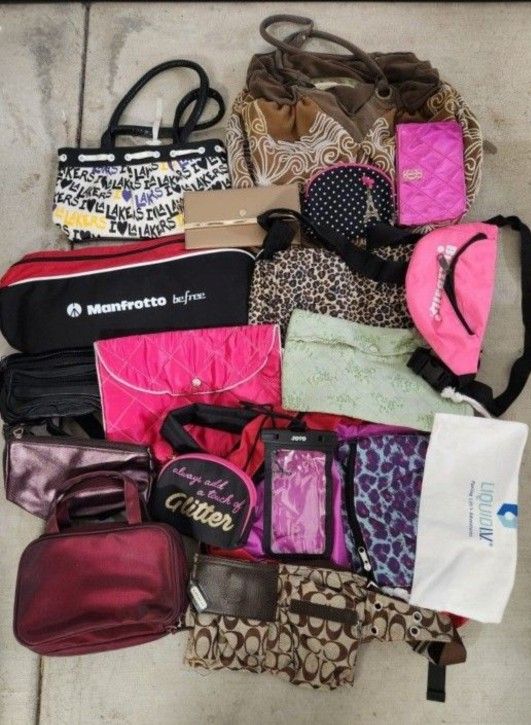 Bag Full Of Purses For $20