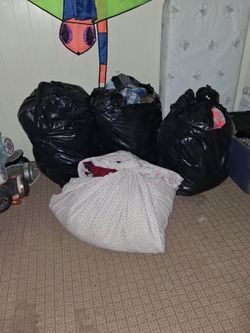 3 bolsas grandes de ropa y una funda 345 piesas de ropa