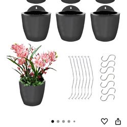 Plant Pots