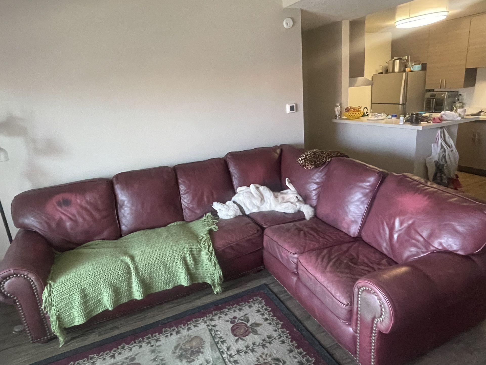 Red Leather Couch