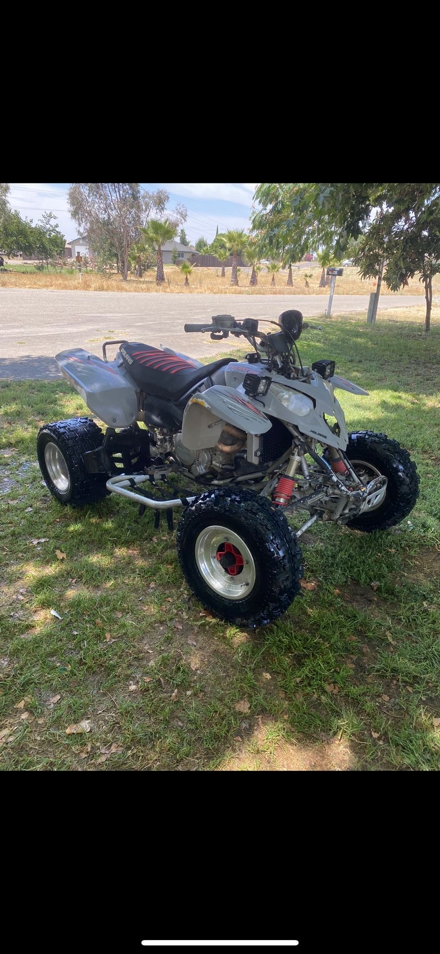 Predator 500 Quad
