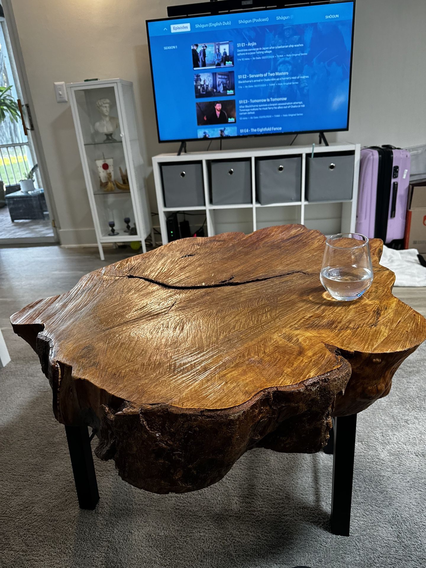 Wooden Tree Slab Coffee Table