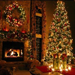 Solid Wood Tall  Mirrored Jewelry Armoire