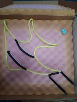 Custom Big Fish neon lighting