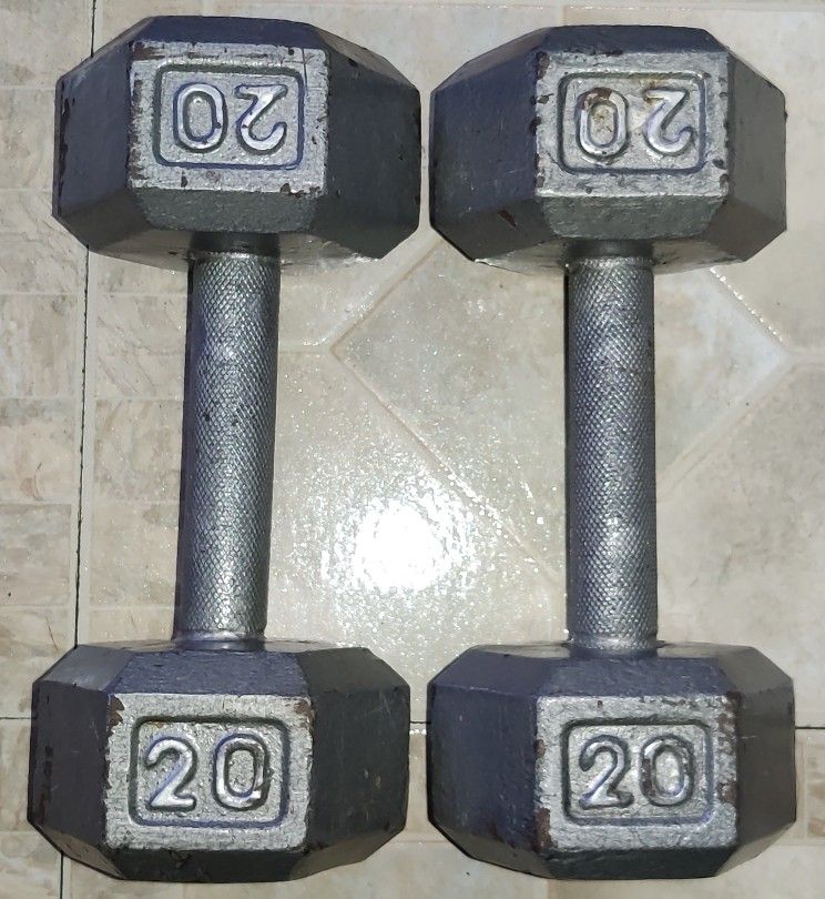 20 Lb Dumbells