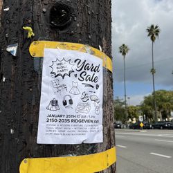 HUGE BLOCK PARTY YARD SALE 1/25