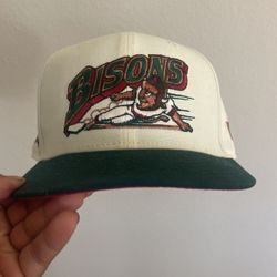 Bisons Fitted