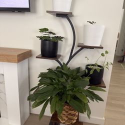 Plant Stand 
