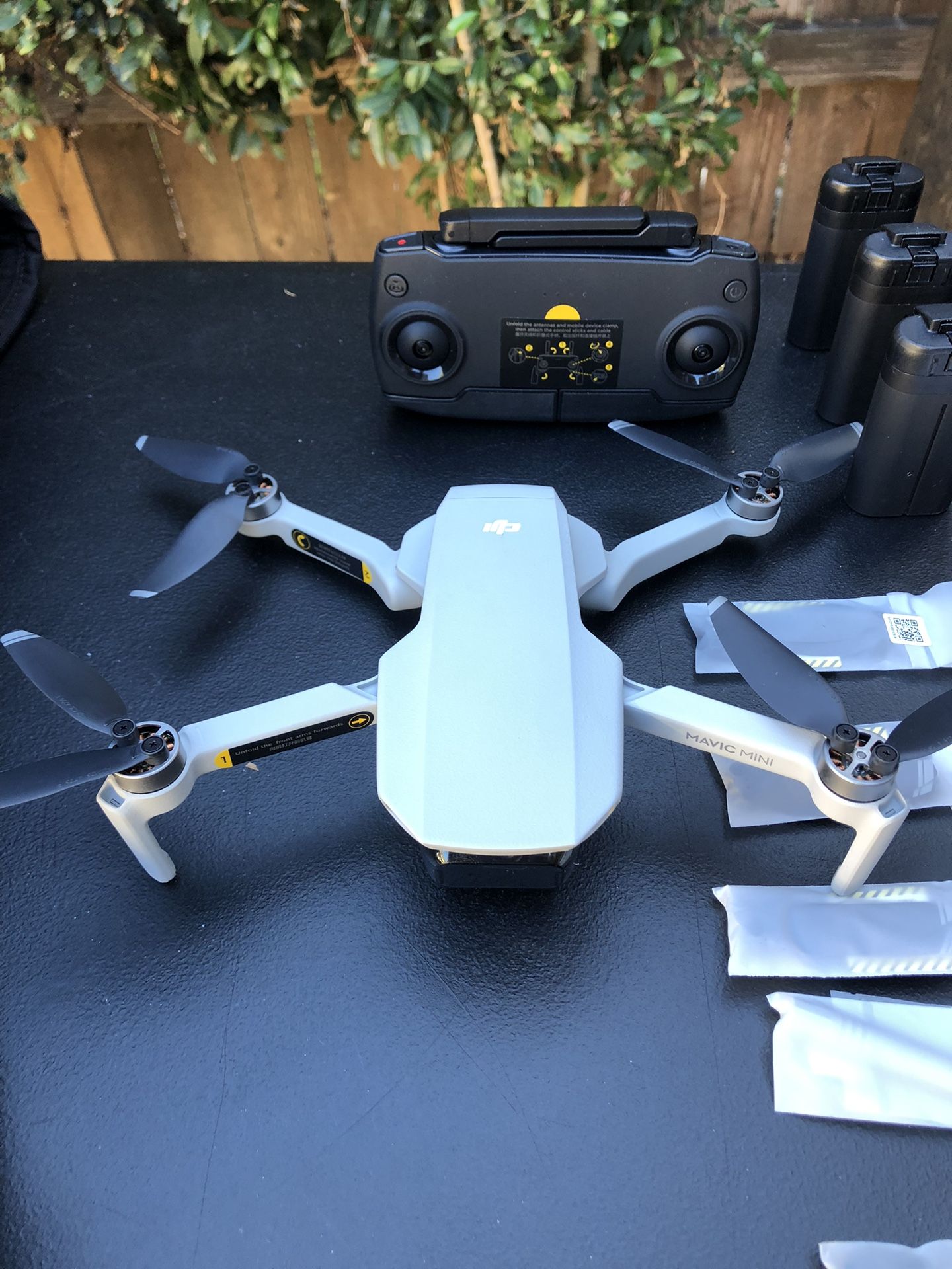 DJI Mavic Mini