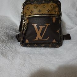 Lady Purse Or Backpack 