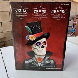 Dia De Los Muertos Light Up Skull
