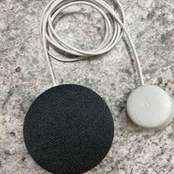 Google Homes