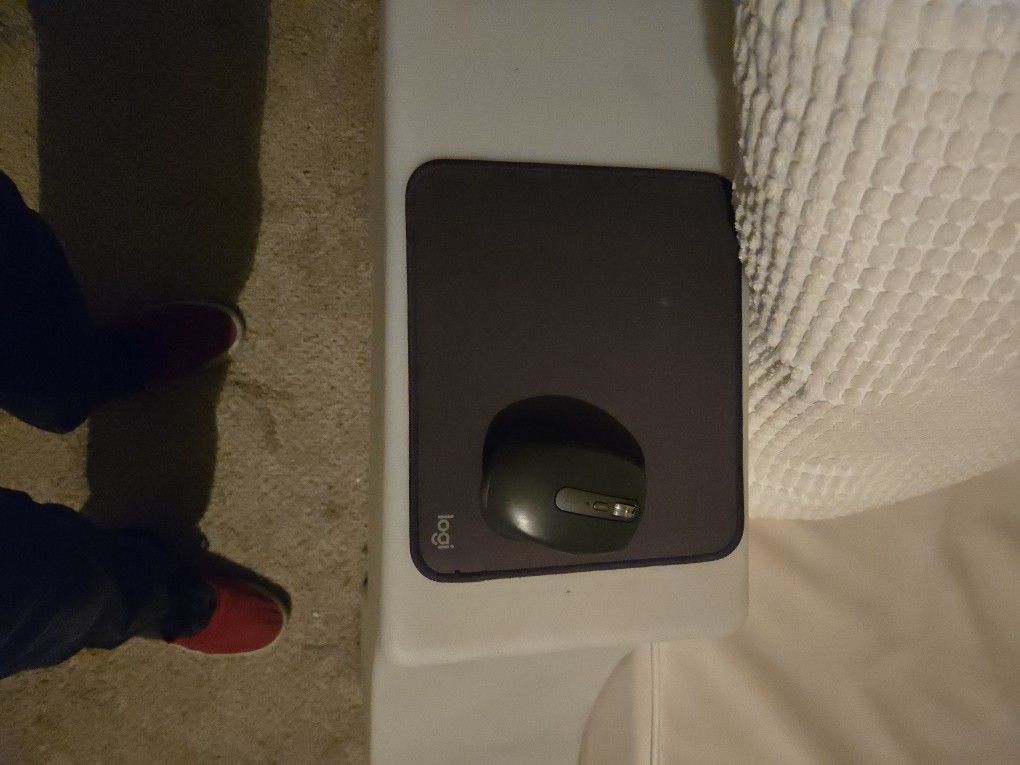Logitech Mouse
