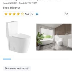 Toilet One Piece Elongated Bowl New