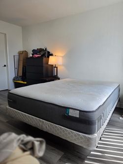 Queen Sealy Posturepedic mattress