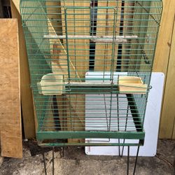 Bird Cage