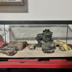 Gecko Enclosure With Live Gecko