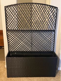Raised garden bed with trellis